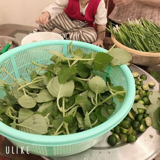 Siro Ho Thảo Mộc Handmade Điềm Kim
