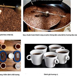 Cà Phê Hạt Cầu Đất Arabica 100- Nông Trường Cầu Đất - Xuân Trường Cầu Đất