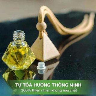 Sỉ lọ đựng tinh dầu treo xe lục lăng