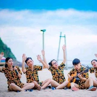 bộ hoa hướng dương