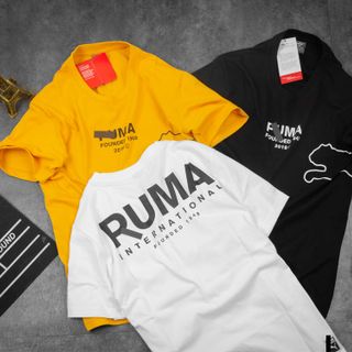 Áo Thun cotton Nam Pum