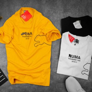 Áo Thun cotton Nam Pum