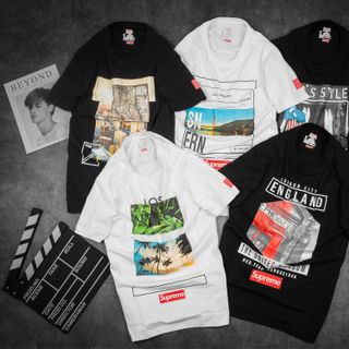 Áo thun cotton nam 02