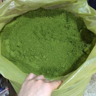 Bột trà xanh nguyên chất giá sỉ