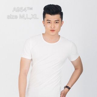Ao thun nam