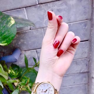 Đồng hồ cooach nữ