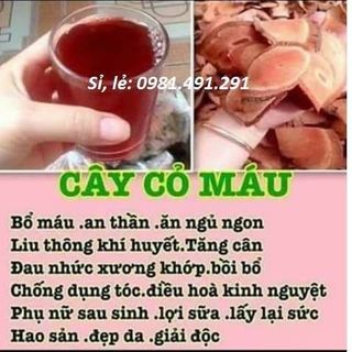 1kg cỏ máu lợi sữa tăng cân từ thiên nhiên