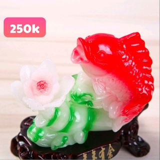 cá phong thủy đế gỗ giá sỉ 93k