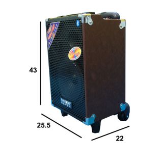 Loa Kéo Mini Temeisheng Q8S Nhỏ Gọn 2 micro