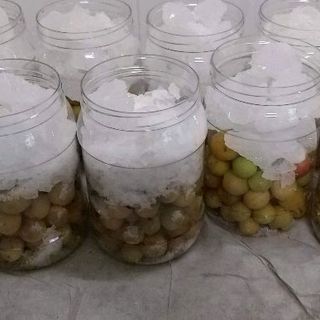 mơ hà nội ngâm đường phèn mật ong lẻ 1 hủ 1kg3 175k sỉ 5 hủ 750k