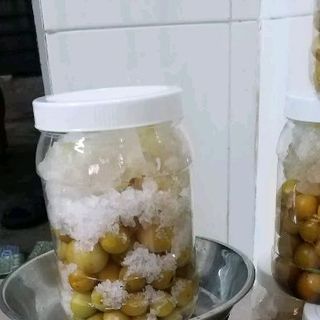 mơ hà nội ngâm đường phèn mật ong lẻ 1 hủ 1kg3 175k sỉ 5 hủ 750k