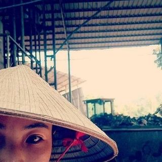 Tinh dầu Quế Yên Bái