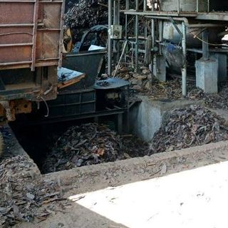 Tinh dầu Quế Yên Bái