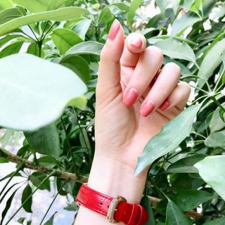 đồng hồ Frankmullerr nữ