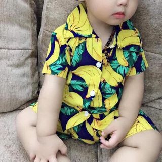 Sỉ Bộ lanh trẻ em hoa quả ri 15