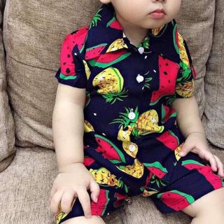 Sỉ Bộ lanh trẻ em hoa quả ri 15