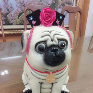 Ống tiết kiệm 5D CHÓ CÁCH CÁCH