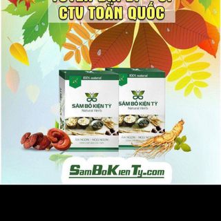 Sâm bổ kiện tỳ