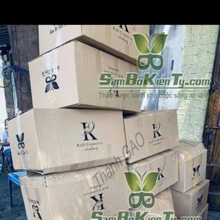 Sâm bổ kiện tỳ