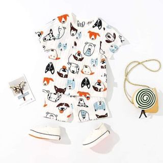 Bộ cotong giấy hàng quảng châu