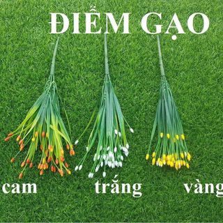 CỤM ĐIỂM GẠO