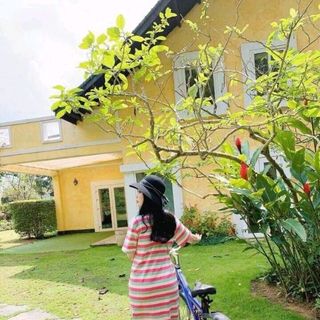 Đầm xoắn eo sọc Quảng Châu