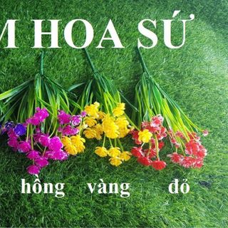 CỤM ĐIỂM HOA SỨ