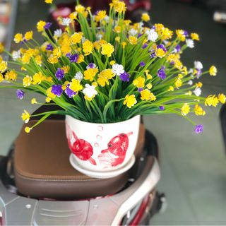 CỤM ĐIỂM HOA SỨ