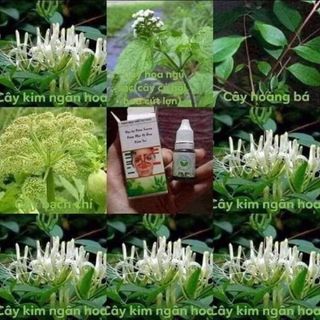 Trị viêm xoang Trần Kim Huyền