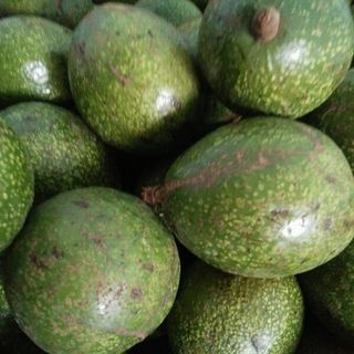 Mãn cầu xiêm bơ mít