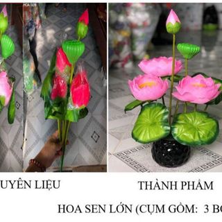 HOA VẢI - HOA SEN giá sỉ