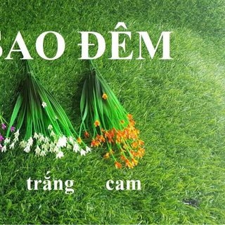 CỤM ĐIỂM SAO ĐÊM