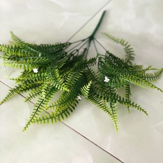 CỤM ĐIỂM LÁ