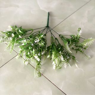 CỤM ĐIỂM LÁ