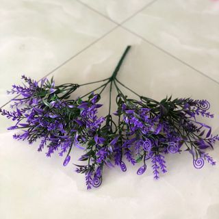 CỤM ĐIỂM LÁ