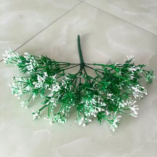 CỤM ĐIỂM LÁ