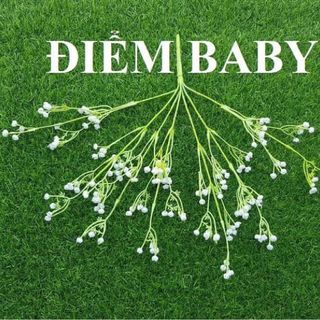 CỤM ĐIỂM BABY