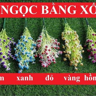 CỤM ĐIỂM XỐP