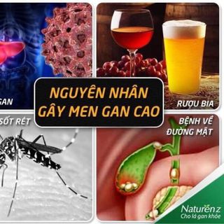 Trà giải độc gan pro