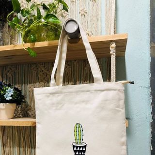 TÚI CHẬU CÂY XƯƠNG RỒNG