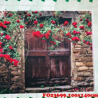 Vải phông nền FO23699 100x140cm