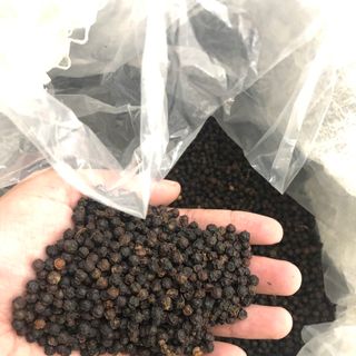 Tiêu đen Phú Quốc