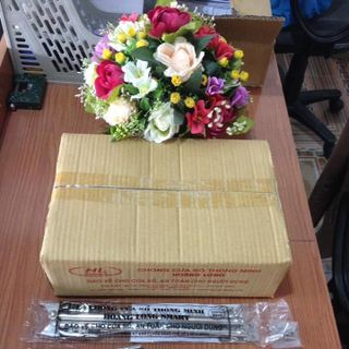Bộ 2 chống cửa sổ inox loại thẳng HL Smart
