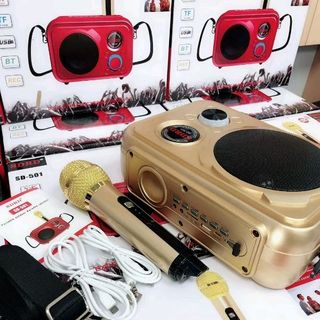 Loa Karaoke Bluetooth SD 501 giá sỉ