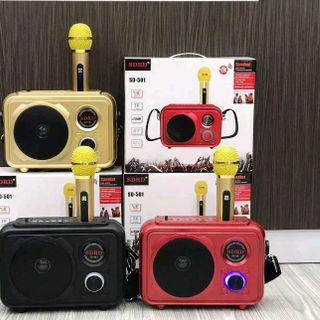Loa Karaoke Bluetooth SD 501