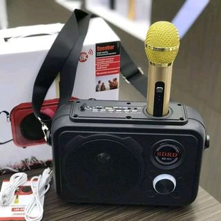Loa Karaoke Bluetooth SD 501