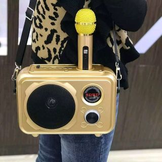 Loa Karaoke Bluetooth SD 501