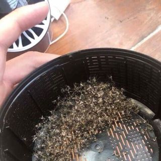 ĐÈN BẮT MUỖI VÀ CÔN TRÙNG