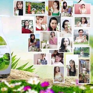 Ddvs trầu không 150ml