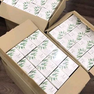COMBO 2 sản phẩm thảo dược thiên nhiên hot nhất thị trường